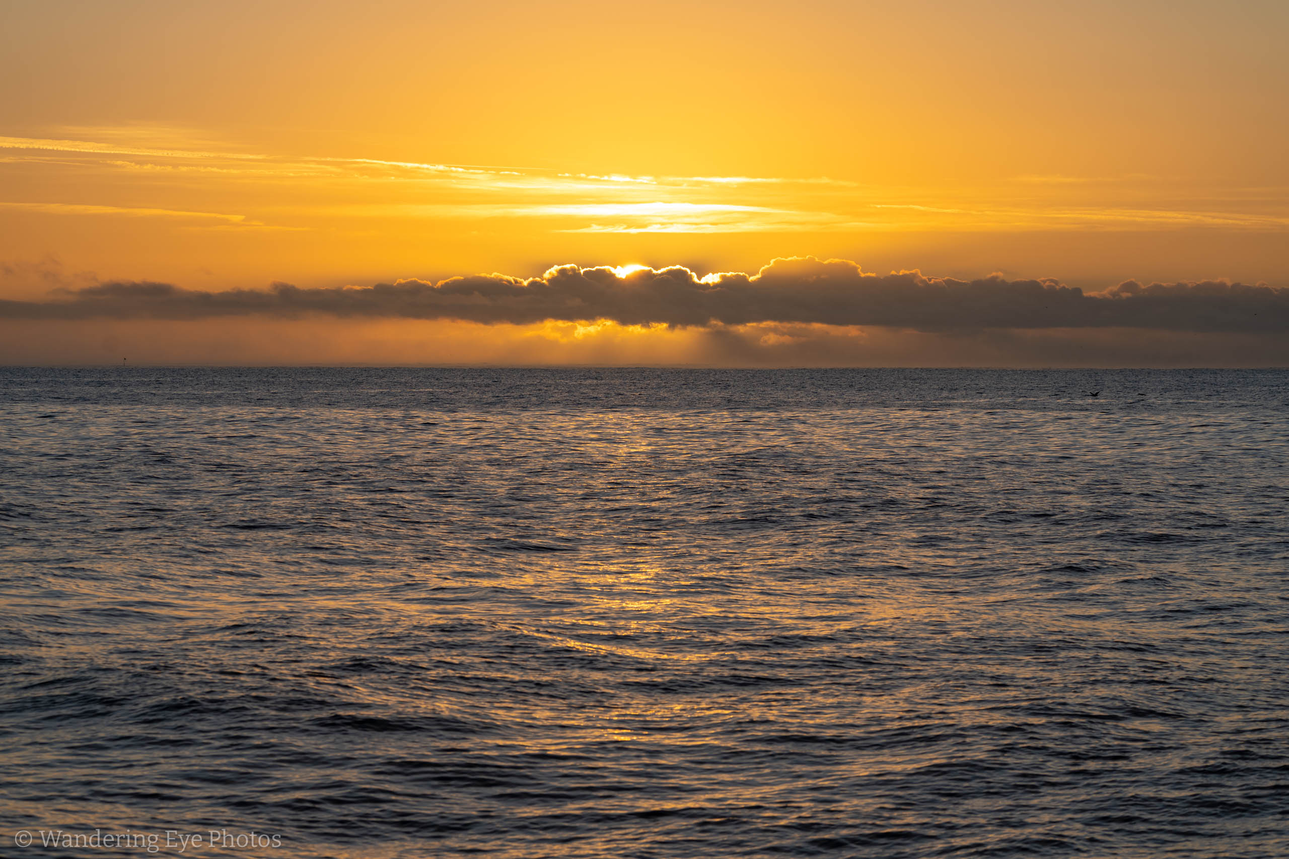 10.18 07.50.45   DSC05393